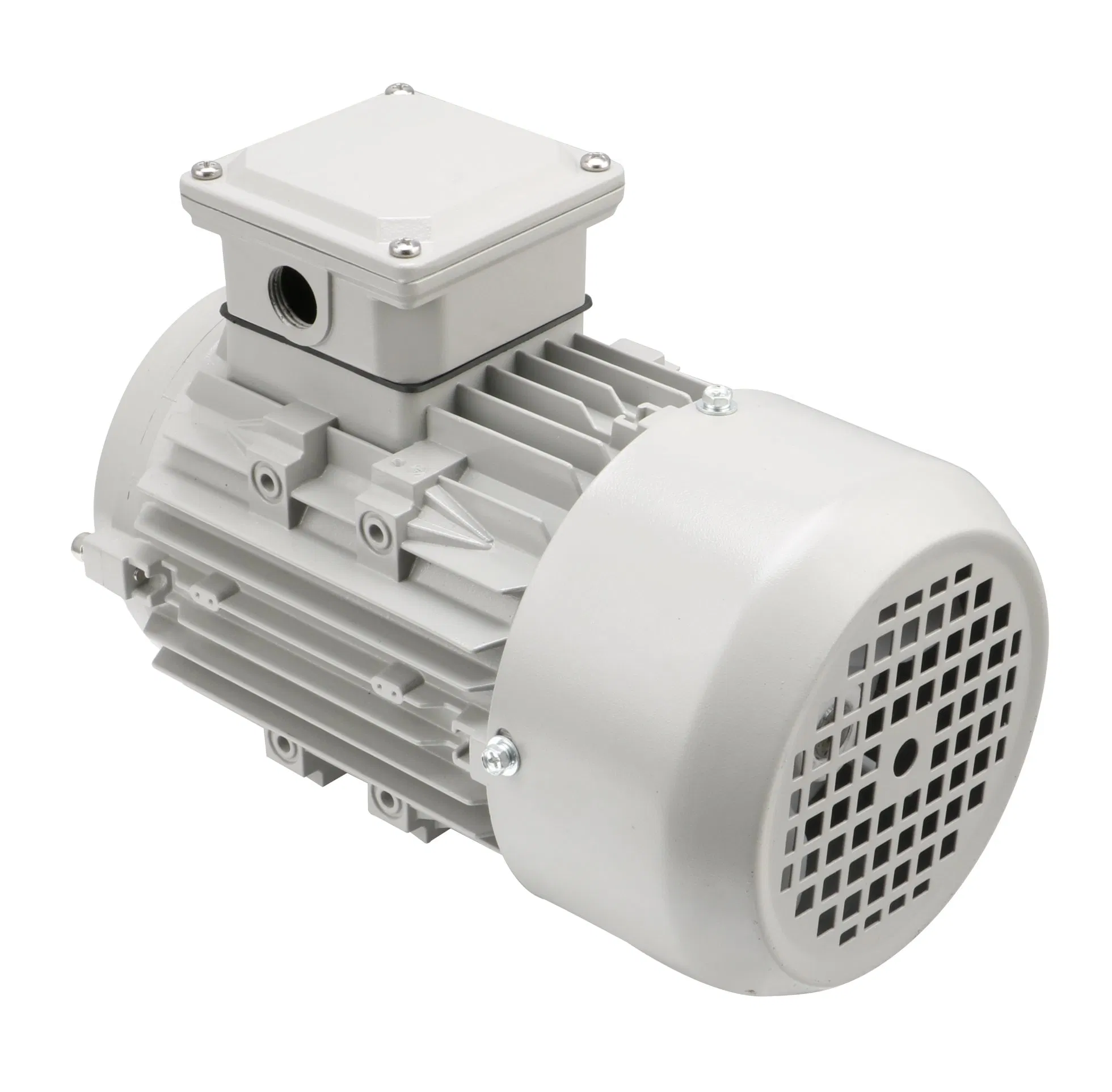 Horizontal Mounting 2/4/6/8 Pole Three Phase AC Induction Electric Motor for Blower with Fan