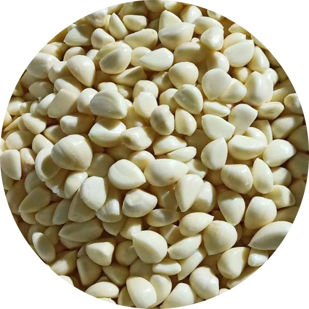 Chinese Fresh Garlic, Pure White Garlic, Peeled Garlic, Dehydrated Garlic, Garlic Powder