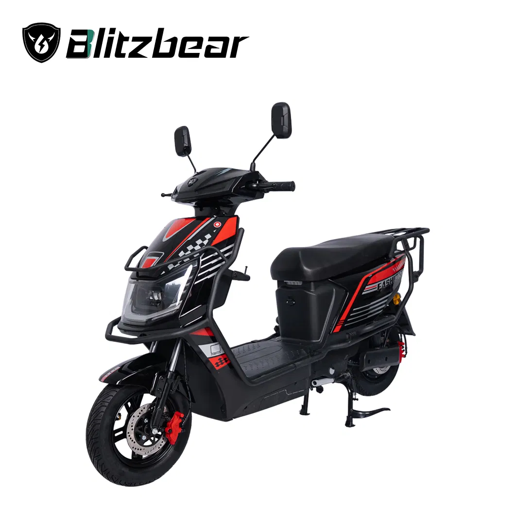 Ciclomotore Elettrico con Motore da 1000W