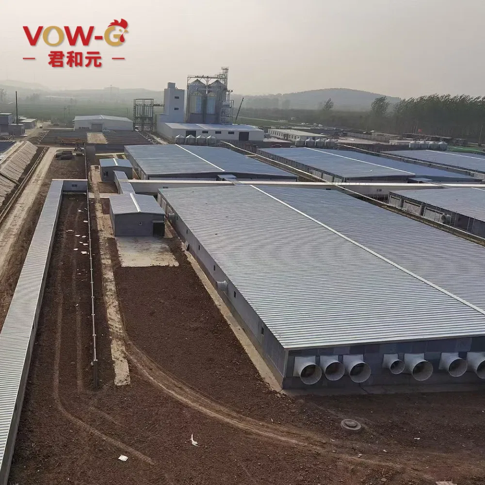 Modern Designed Prefabricated Light Steel Frame Dairy Pig Farm Barn