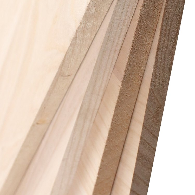 Paulownia Wood Board Timber for Building Material and Wood Craft
