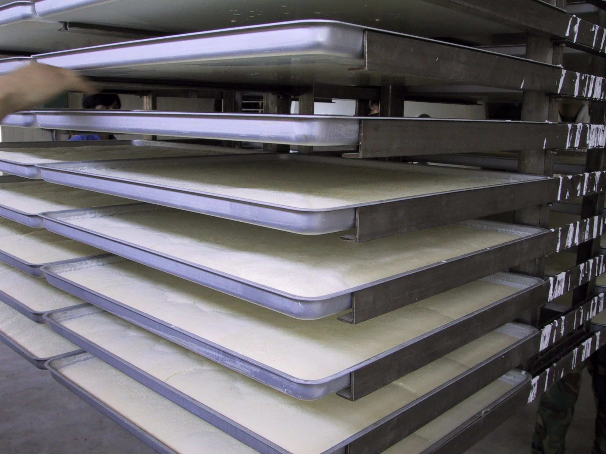 Lyophilisateur de 300 kg pour aliments et nutriments