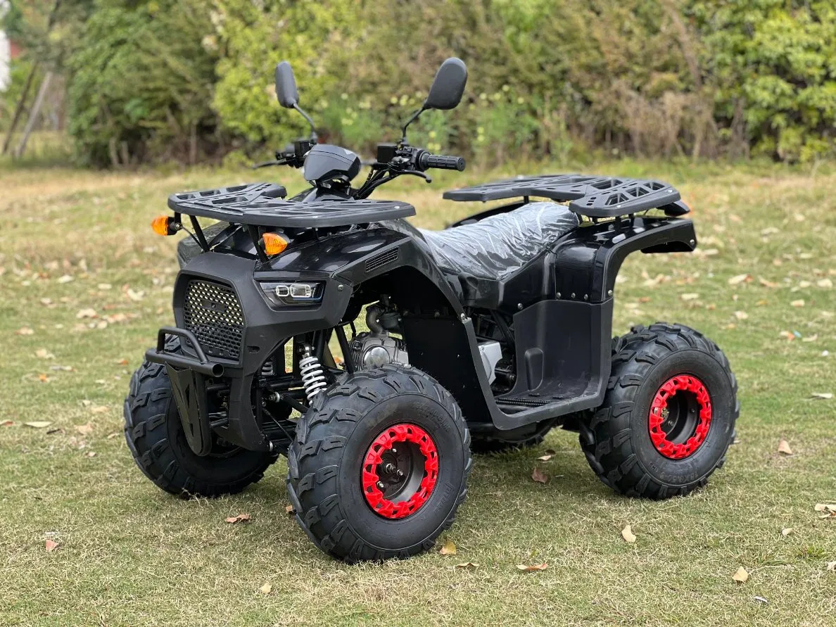 125cc Quad Bike ATV for Teenager Off Road Use