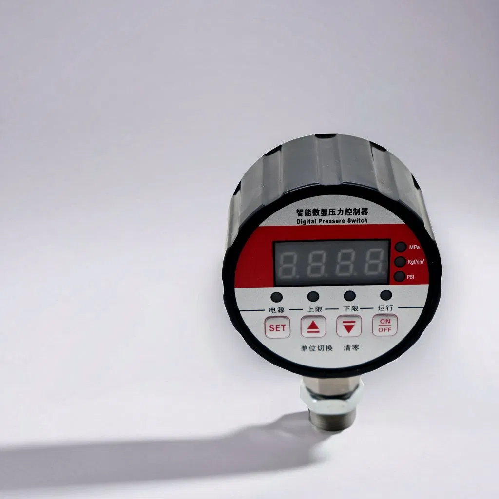 High Precision 0-60 MPa Digital Pressure Gauge 1/2 NPT for Pump Industry