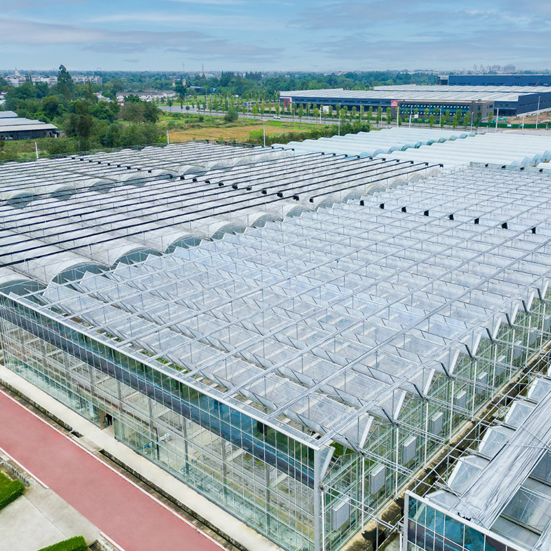 Smart Glass Greenhouse for Flower and Vegetable Production with Water Circulation System