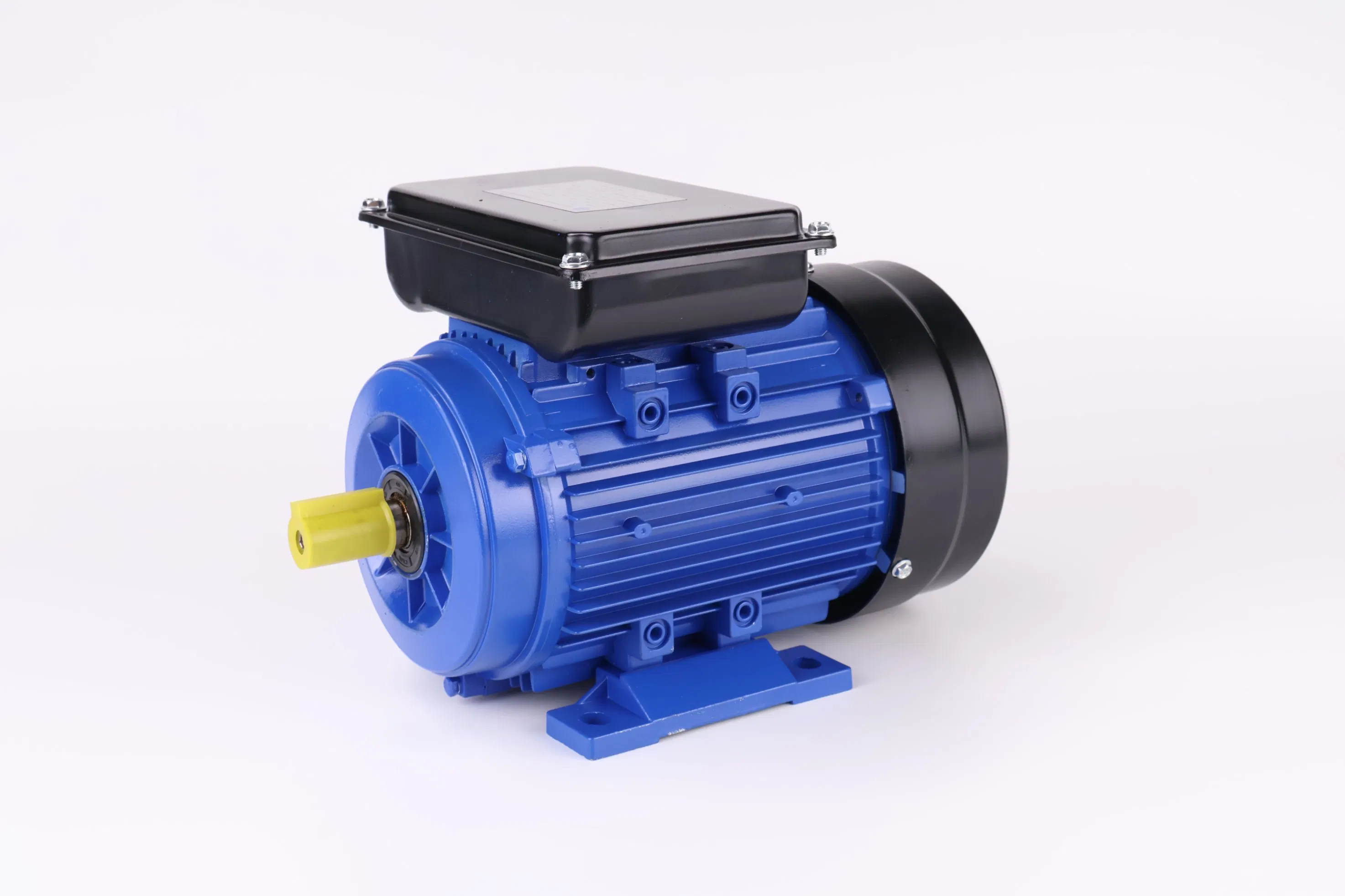 Two Capacitors Single Phase AC Induction Electric Motor