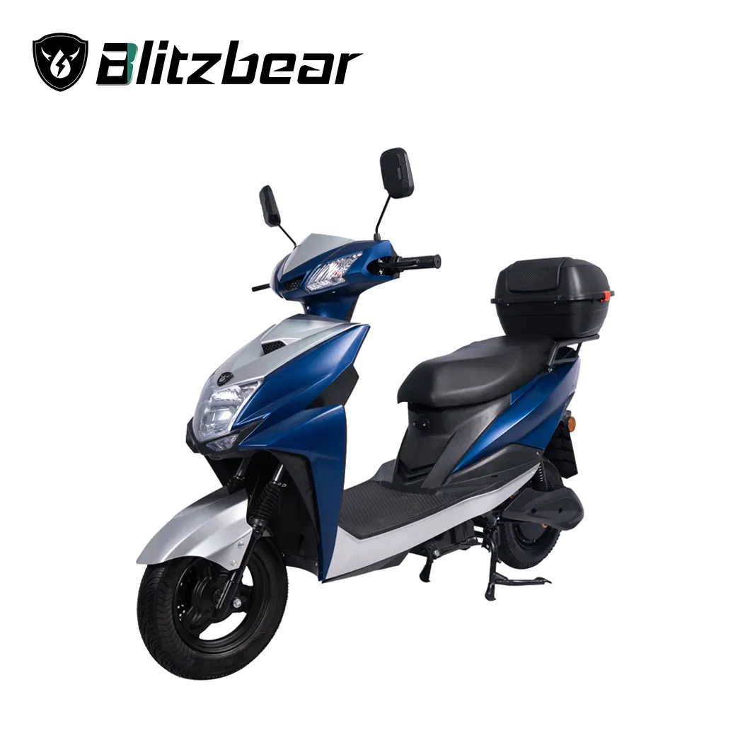 800W Adult Electric Motorcycle Lithium Battery Motor Scooter