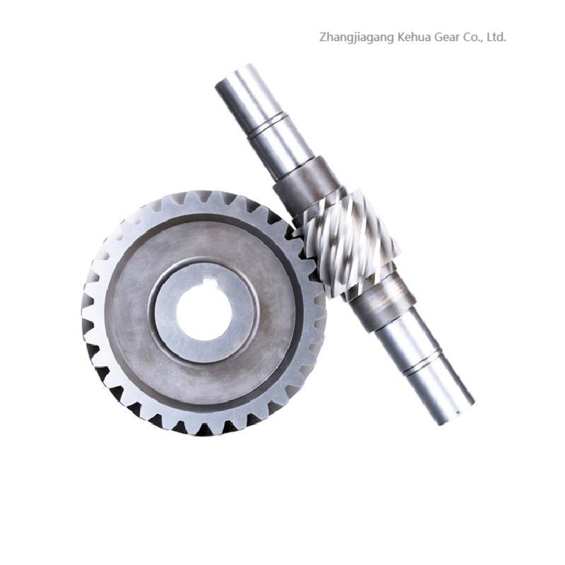 Custom Double Worm Gear Mechanical Parts