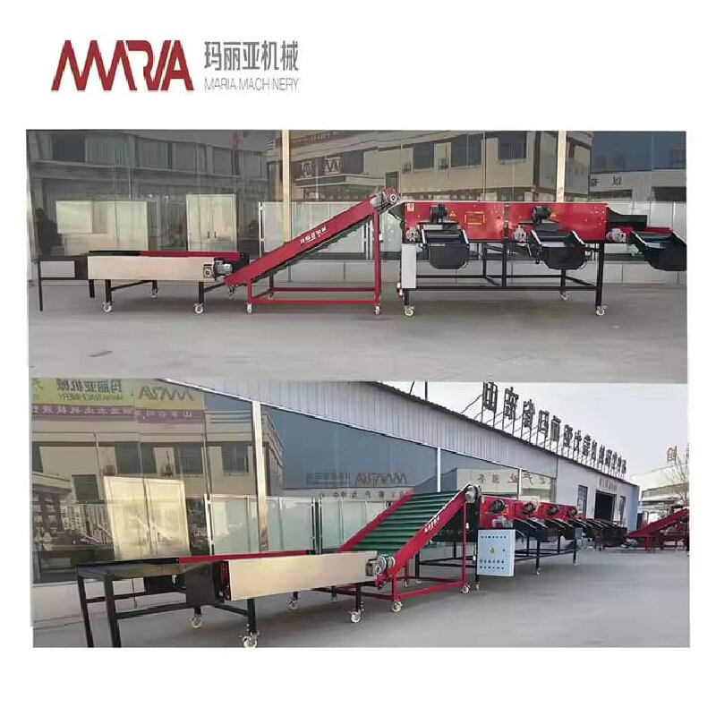Garlic and Fruits Size Grading Sorter