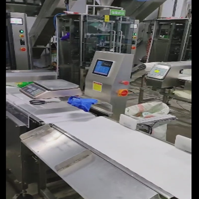 High-Speed Dynamic Checkweigher for Foodstuffs, Pharmaceuticals and Daily Necessities