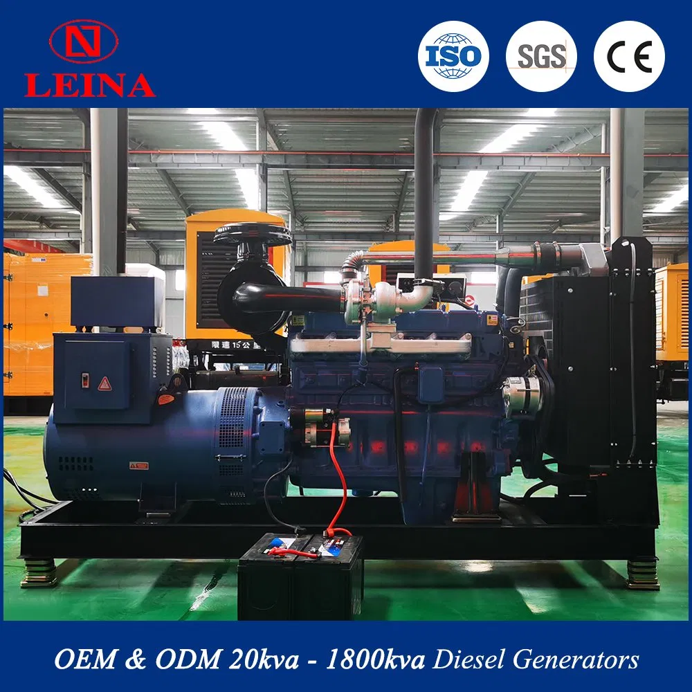 Gruppi Elettrogeni Diesel con Protezione a Bassa Temperatura Leina da 250kw 300kw 350kw