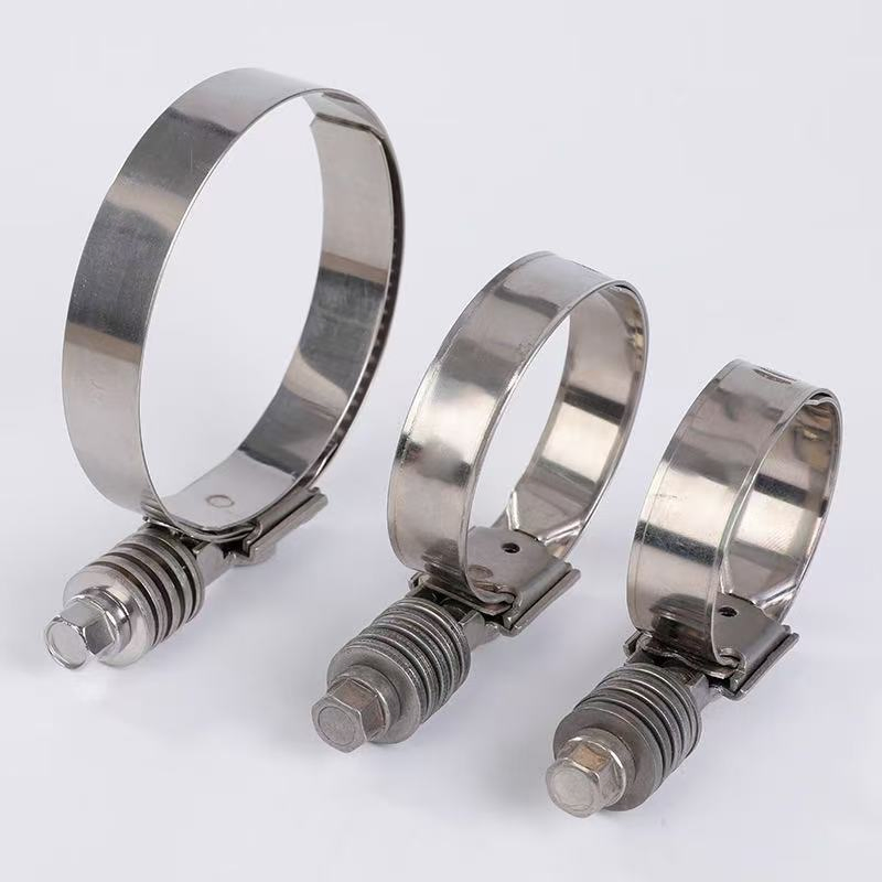 Stainless Steel Strong Hose Clamp