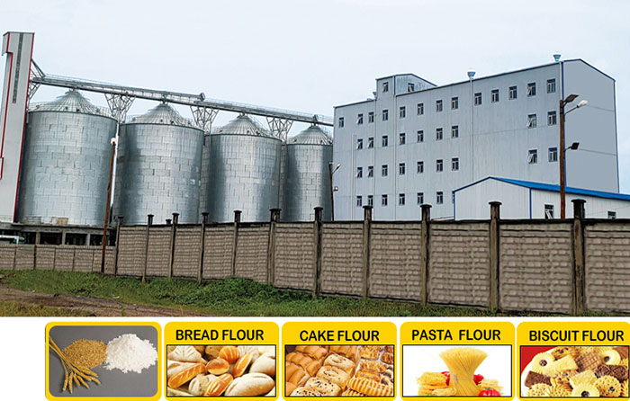 Advance Modern 200tpd Flour Milling Machine