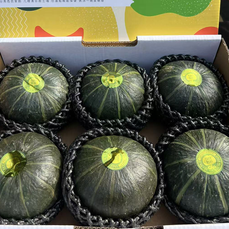 Fresh Beibei Pumpkin, Mini Soft Tender Powdered Flesh, Consistent Sweet Flavor Direct Farm Supply
