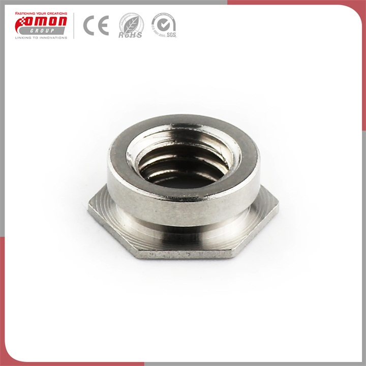 Customized Lock Furniture Bolt Rivet Nut