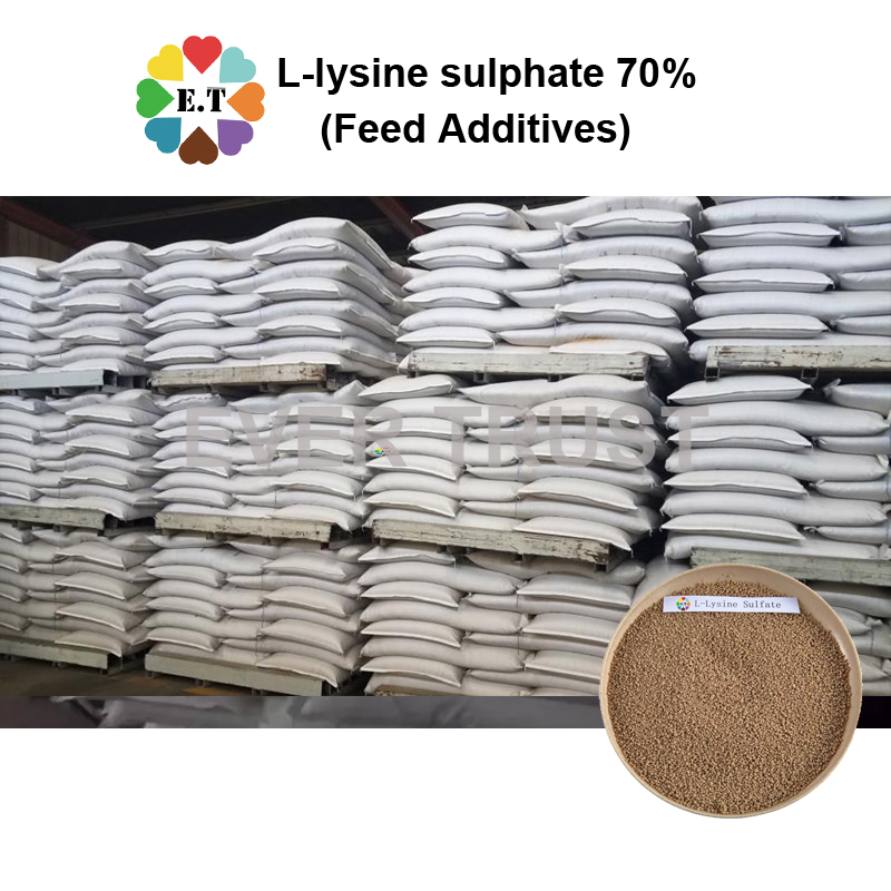 L-Lysine Sulphate 70% Powder Feed Grade Additive for Promoting Poultry Health