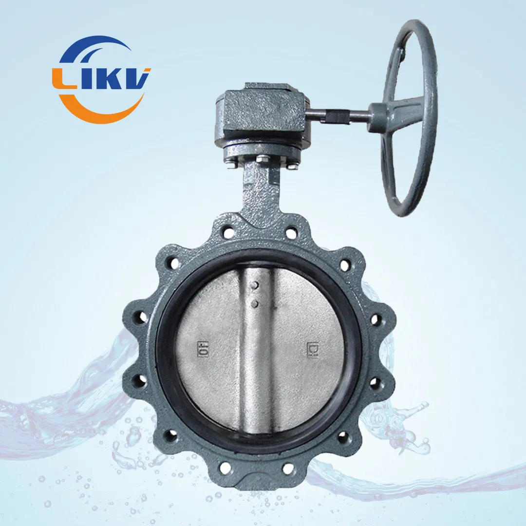 Worm Gear Lug Wafer Pn10/Pn16 Ductile Iron/Cast Iron Butterfly Valves