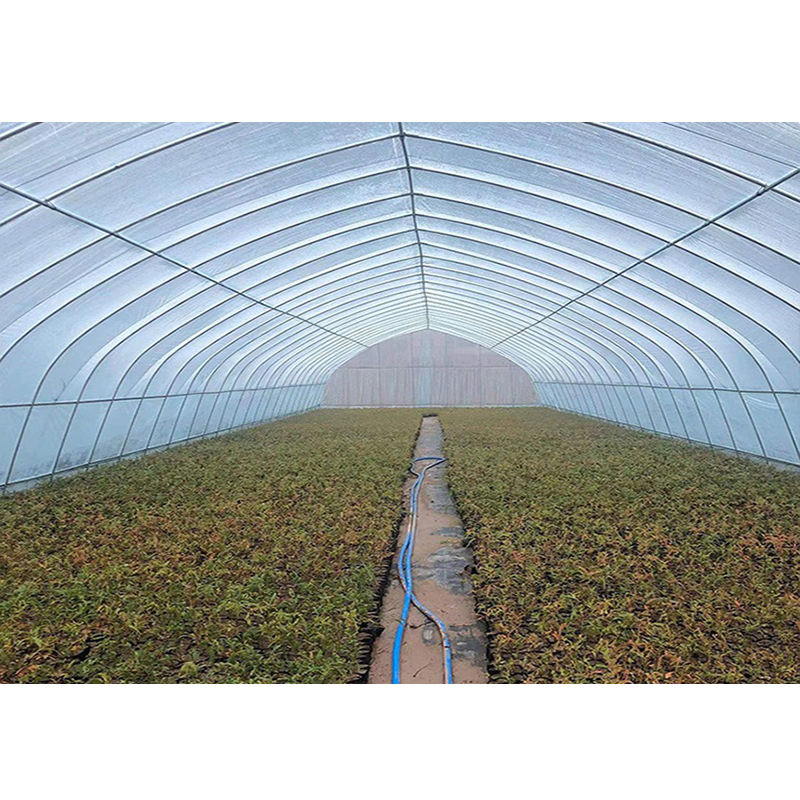 Customizable Waterproof Tarpaulin Galvanized Steel Frame Single Span PE Film Greenhouse
