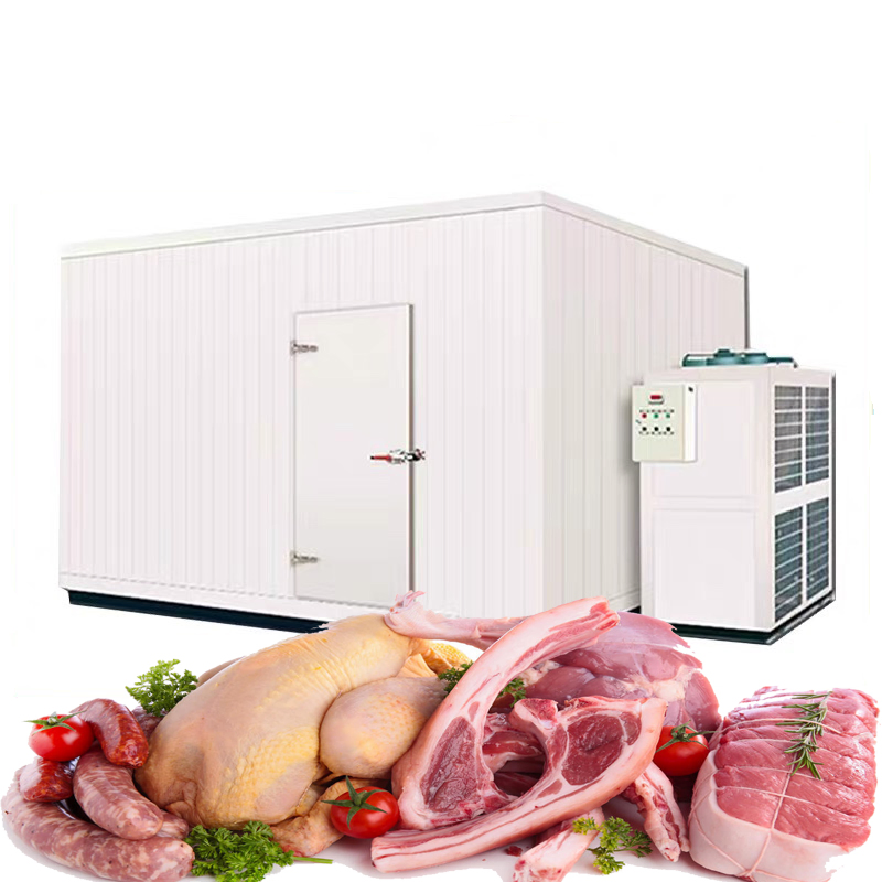 Mobile Insulated Walk in Freezer 2 Ton 3 Ton 5 Ton 8 Tons Cold Room Cold Storage for Meat Fish Vegetable