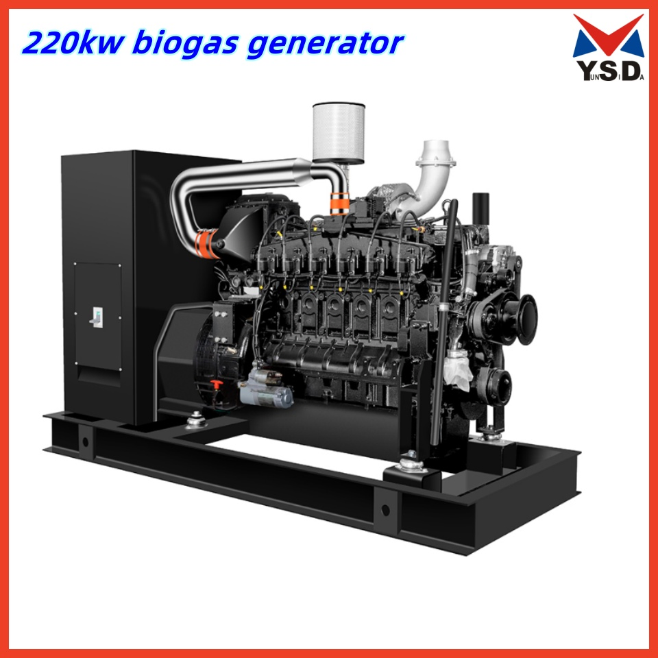 220kw Natural Gas Generator Biogas Syngas Genset CNG LNG LPG Gas Generating Set Emergency Power Station