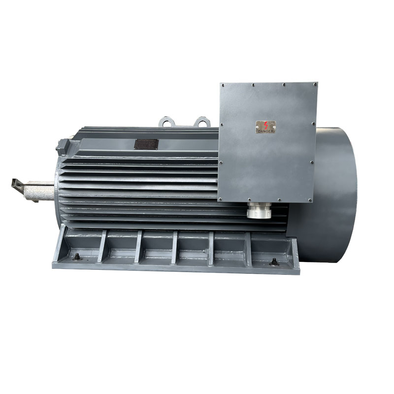 Y2-400 Motore Elettrico Trifase ad Alta Tensione Compatto IP54/IP55 6000V 11kv