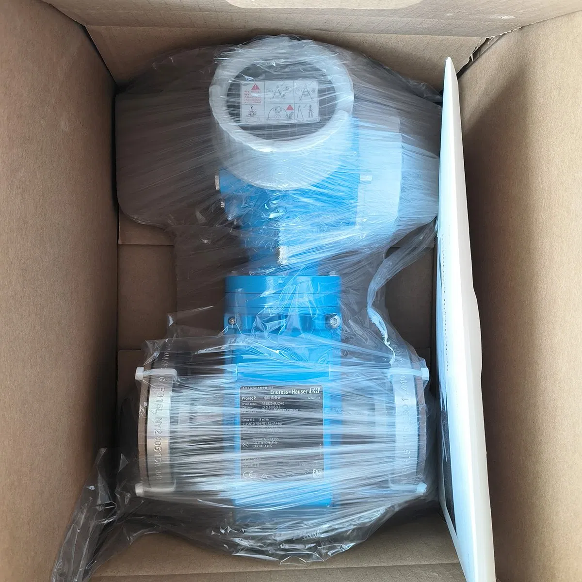 E+H 5P2B25 DN25 Proline Promag P200 flussometro elettromagnetico per applicazioni industriali