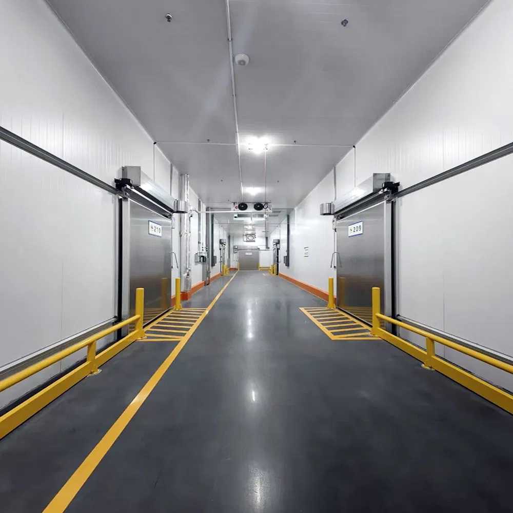 Blast Freezer and Freezer Room with PU Panel for Meat and Seafood