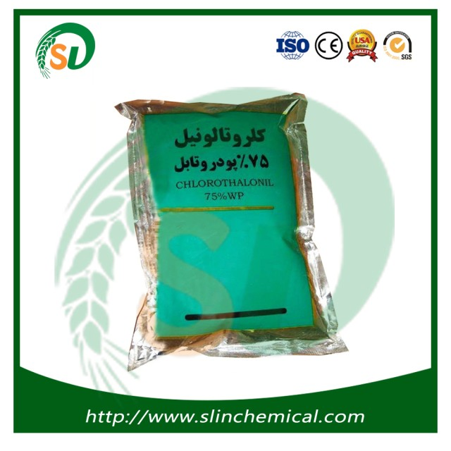 Agrochemical Fungicide Chlorothalonil 98%Tc 80%Wp 75%Wp 70%Wp 40%Wp 90%Wdg 72%Sc 50%Sc 40%Sc