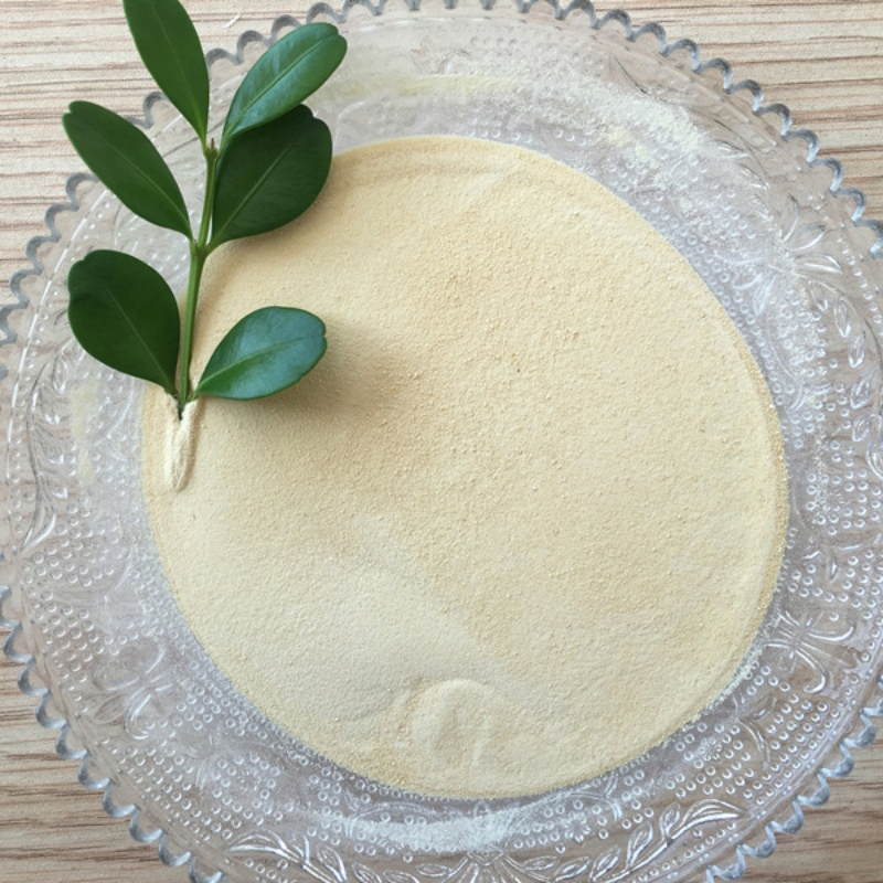 Plant Origin Amino Acid Powder 80% Organic Fertilizer