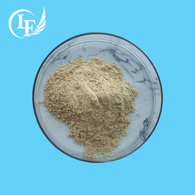 Soy Isoflavone Bean Sprout Extract Powder 5% 40% 90%