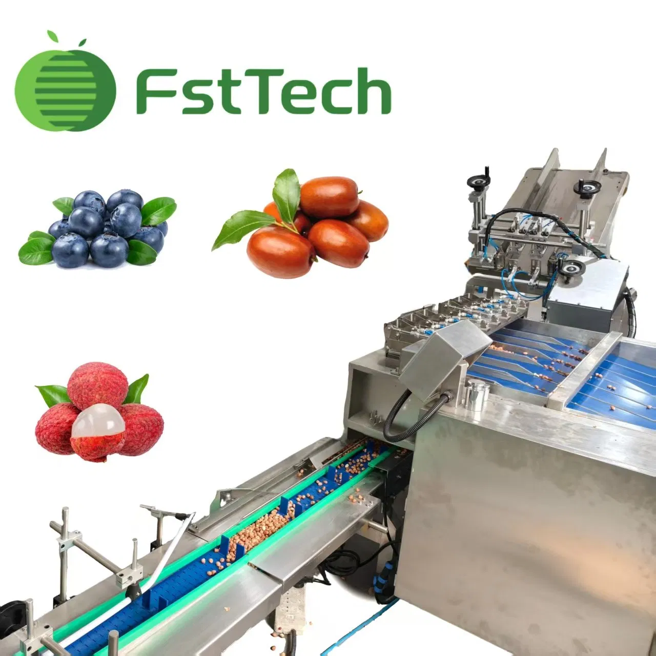 Multi-Head Linear Filler for Punnet & Clamshell Packing - Small Fruits (≤40mm)