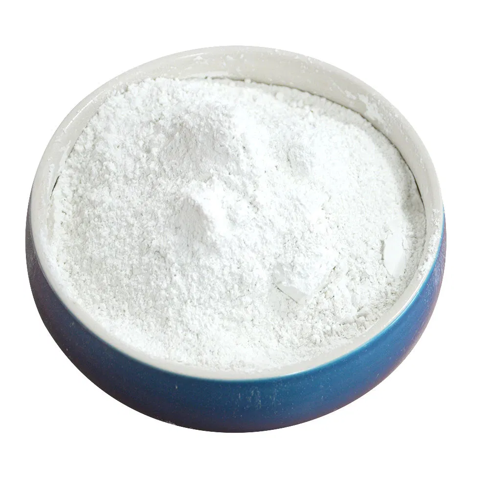 300 Mesh WT-800 Talcum Powder for Coating & Plastic Industry