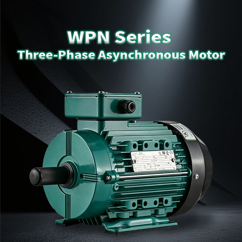 Moteur asynchrone triphasé universel interchangeable de la série WPN, entretien facile