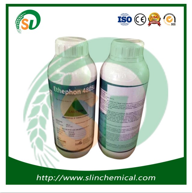 Ethephon Plant Growth Regulator 91%TC 90%TC 85%TC 70%TC 48%SL 40%SL 30%SL
