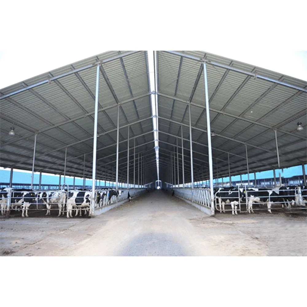 Durable Galvanized Prefabricated Steel Structure Warehouse for Farm Sheds Use