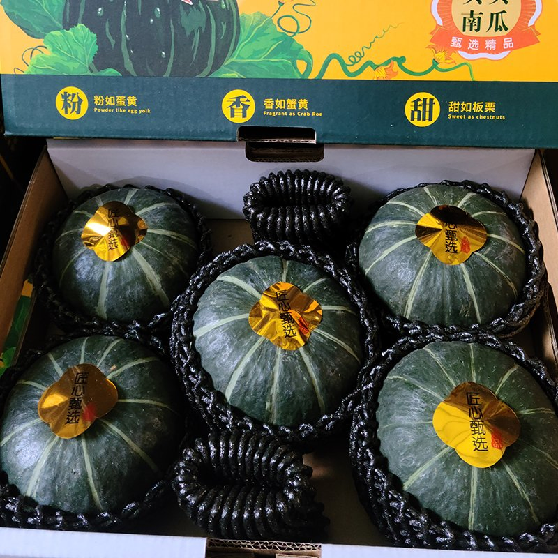 Piccolo tenero selezionato da seme, polpa fine e farinosa, dolcezza naturale costante, fresca zucca Beibei, ortaggio