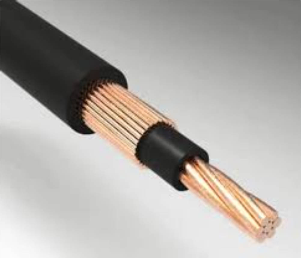 Low Voltage 0.6/1kv XLPE Insulated Bare Copper Concentric 2X6mm2 Power Cable