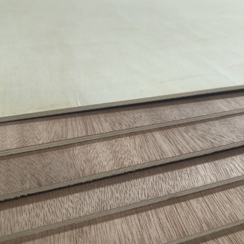 Design di Porte con Pannello in Legno per Pelle di Compensato per Porte da 4mm 3.5mm 2.7mm