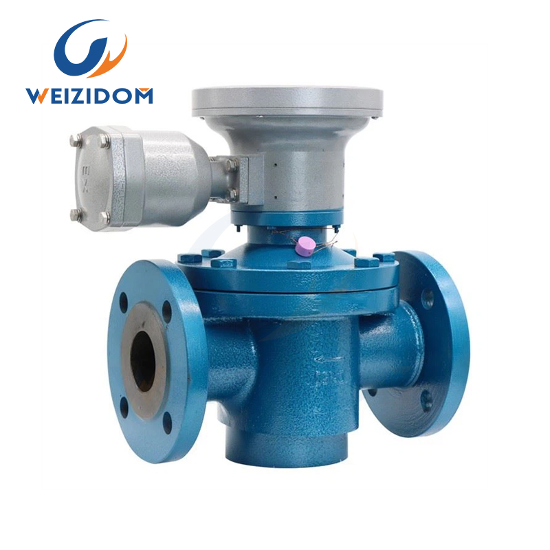 Weizidom 2025 Contatore di flusso a ingranaggi ovali conveniente e di alta qualità Contatore volumetrico Contatore a spostamento positivo