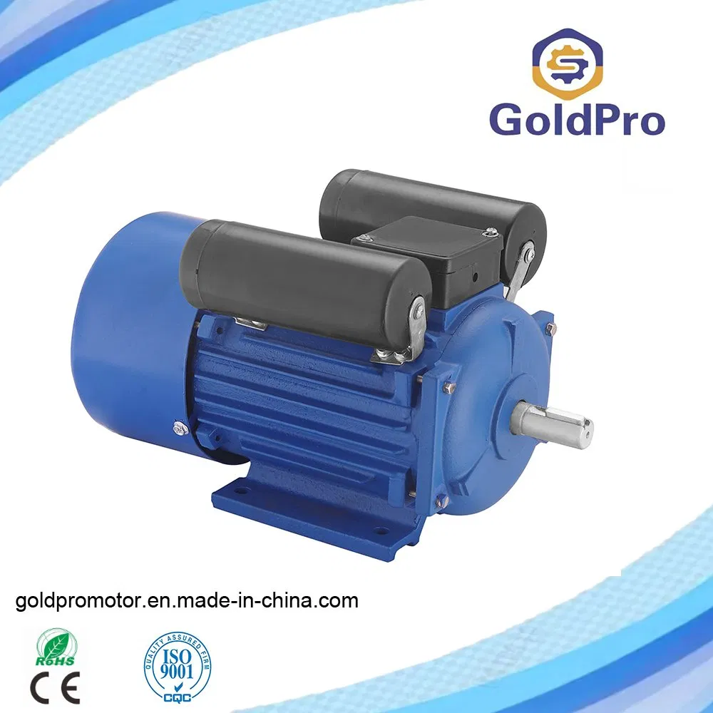 YC Single Phase AC Small Electric Motor