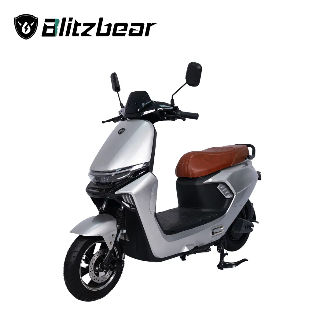 City Commuting Motorcycle Series 1000W Electric Bicycle Scooter