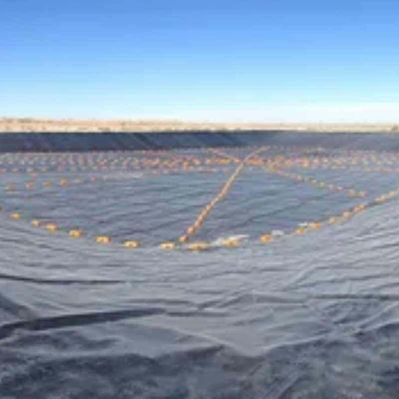 Waterproof HDPE Geomembrane for Dam, Landfill, Fish and Shrimp Farm Pond Liner