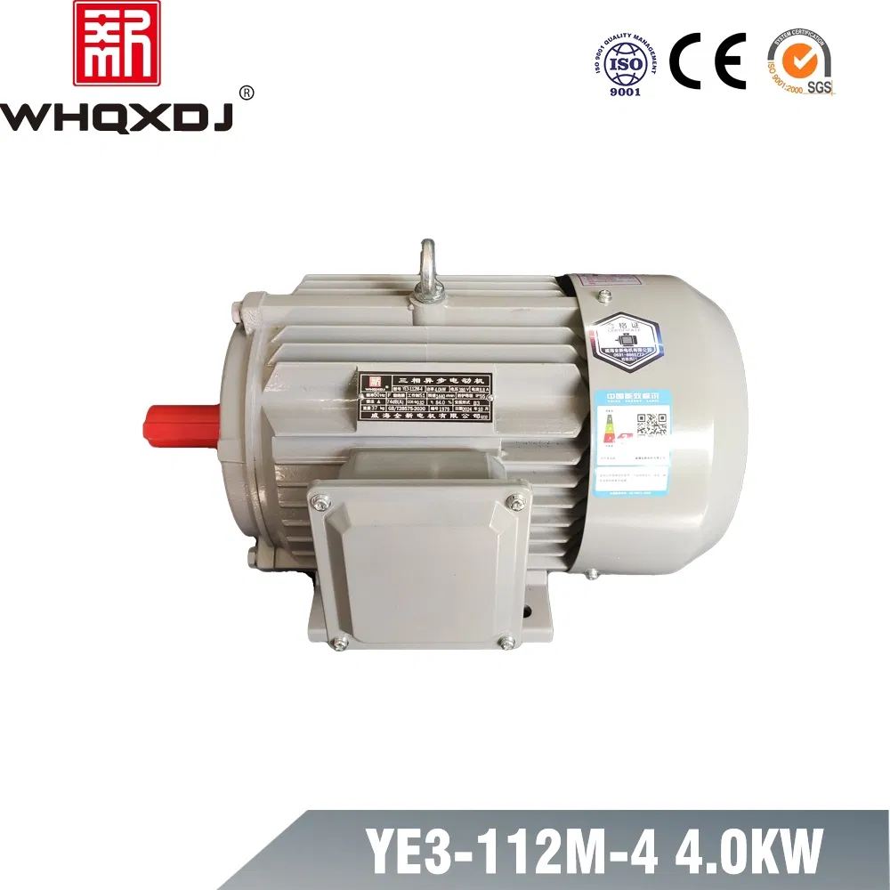Motore a induzione trifase ad alta efficienza 4kW 380V avvolgimento in rame di grado industriale