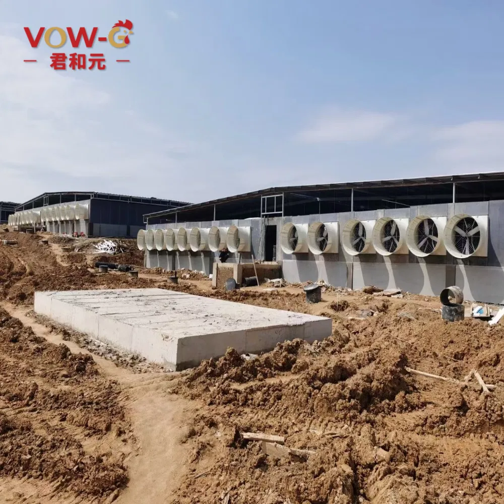 Livestock Shelter Steel Prefab Cow Shed Prefabricated Pig House