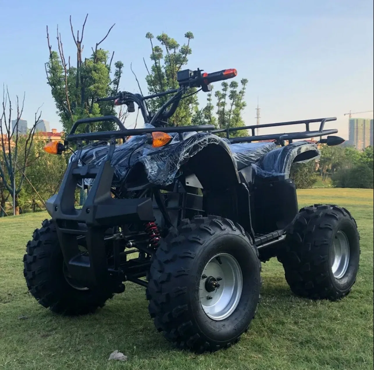 Terrain Off-Road ATV 48V750W Electric Quad Bike ATV
