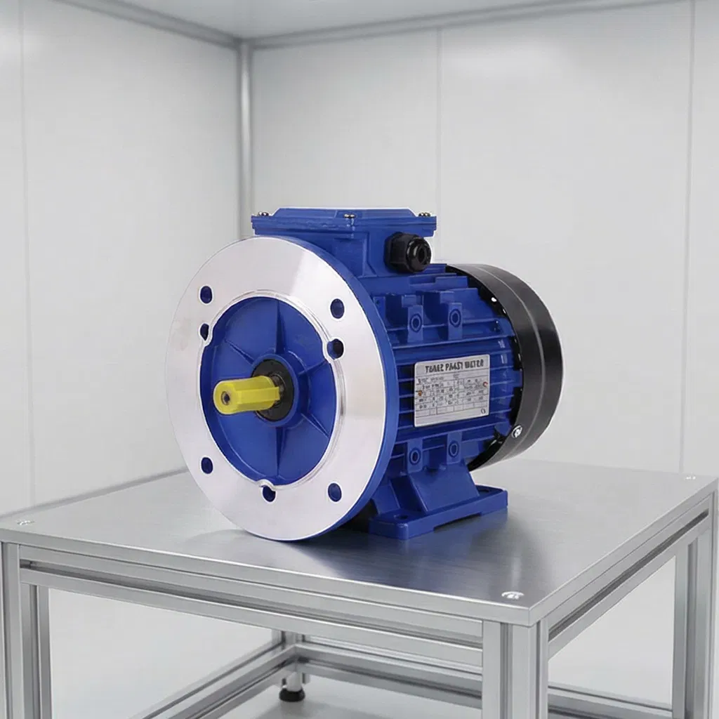 Enhanced Heat Resistance Aesthetic Design Low Noise 0.12~7.5kw 3 Phase Electric Motor