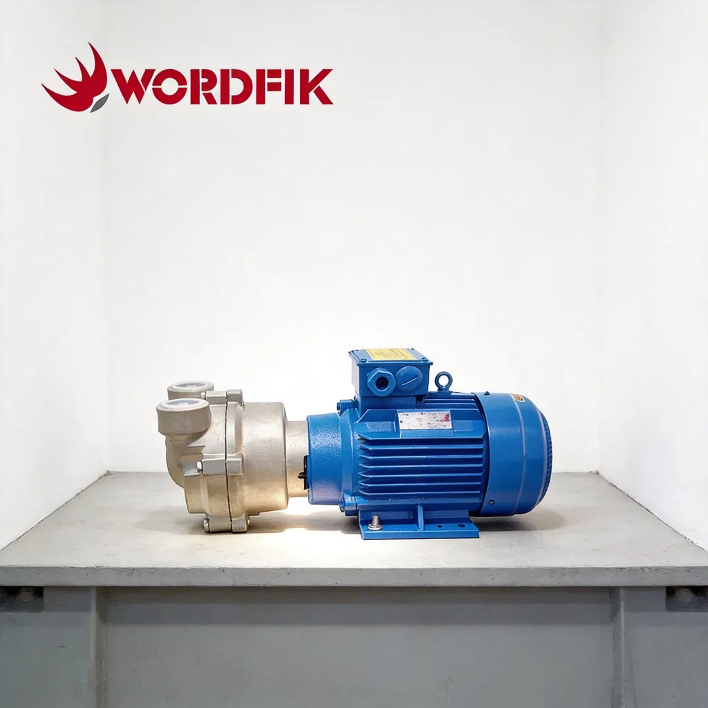 Wordfik 2BV5131 High Efficiency Liquid Ring Vacuum Pump