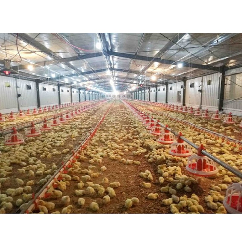 Automatische Geflügelfarm-Planung und -Design für Masthähnchenfarmen