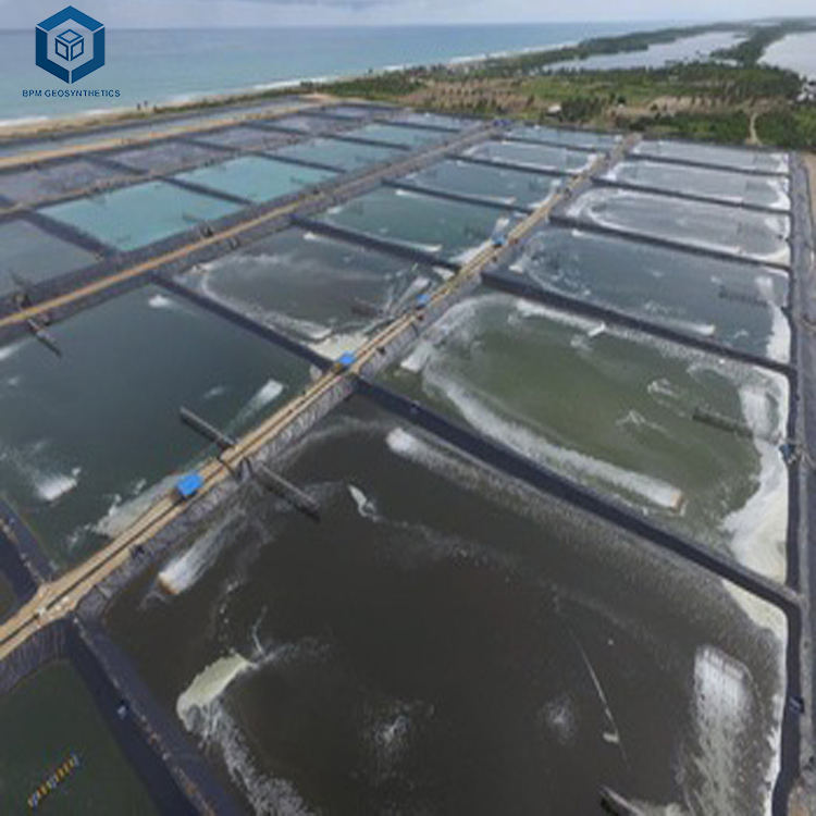 1.0mm Flexible Anti-UV Waterproof HDPE Pond Geomembrane for Fish Tank