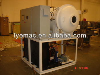 250kg Freeze Dryer for Food and Nutrient